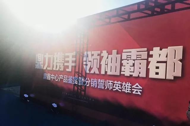 鼎力攜手，領(lǐng)袖霸都！合肥鼎鑫中心產(chǎn)品鑒賞暨分銷(xiāo)誓師英雄會(huì)圓滿(mǎn)落幕！