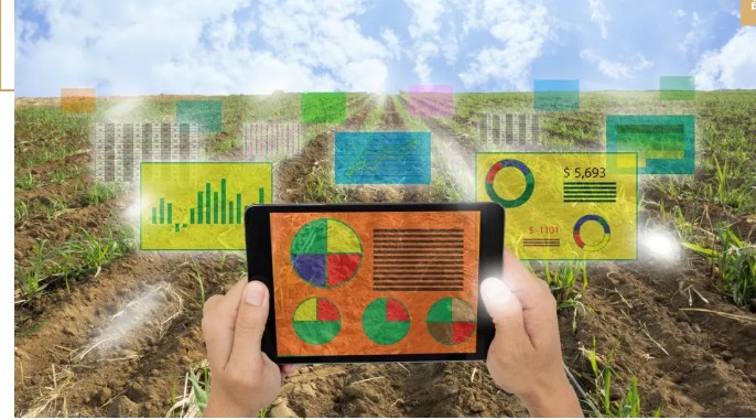 馬云說“致富未來在農(nóng)村”,那么農(nóng)村未來的致富人群是哪類人？