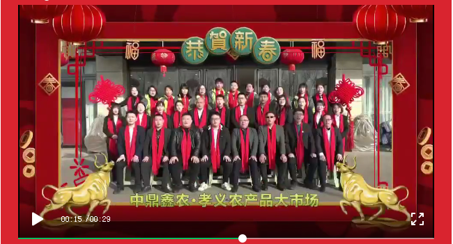 新年到 祝福到 鼎鑫集團 中鼎鑫農(nóng)集團向社會各界恭賀新春