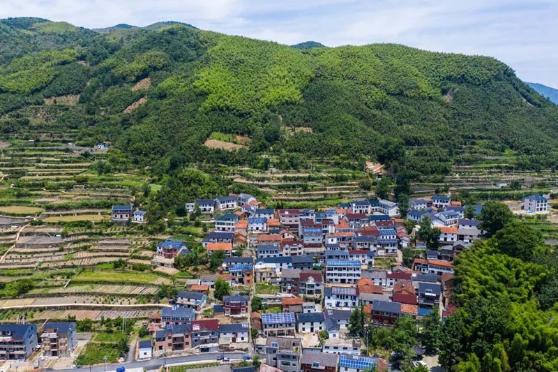 老鄉(xiāng)！別錯(cuò)過(guò)今年這些惠農(nóng)好政策