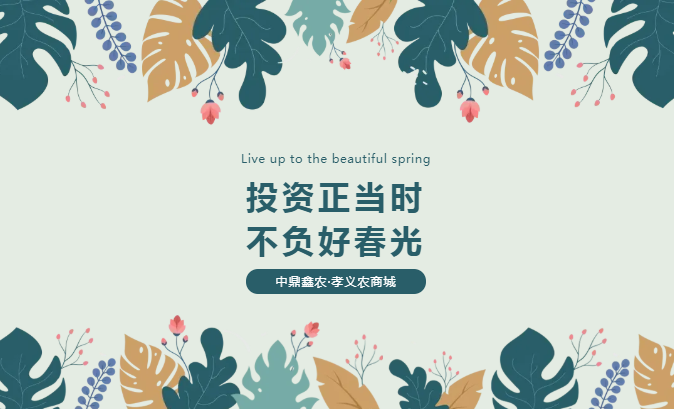 孝義唯一大產權的農批商鋪，投資有保障！